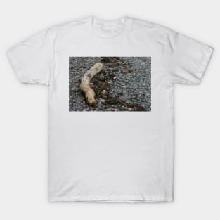 Pebble Beach with driftwood T-Shirt